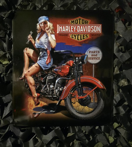 Harley davidson schilder blech - davidson,